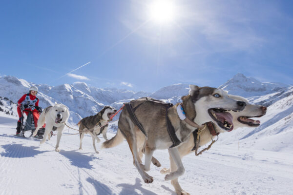 Schlittenhunde-Rennen-Sportgastein-(c)-Erwin-Heckl